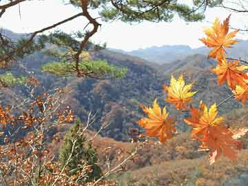 美国纽约寺庙发生火灾致2死